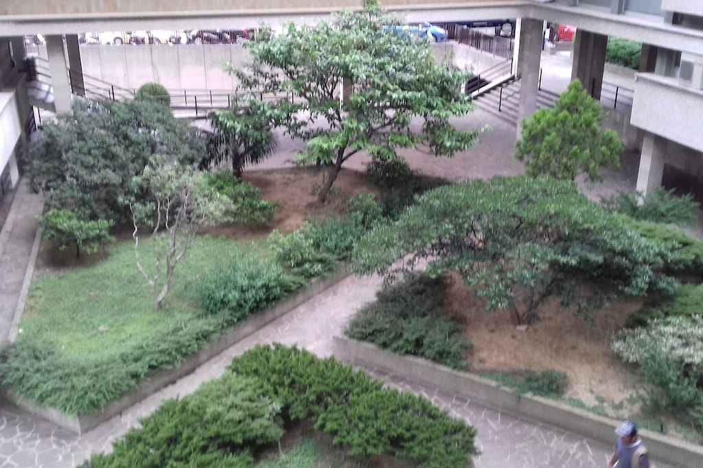 Il giardino dal poggiolo- the garden from terrace.