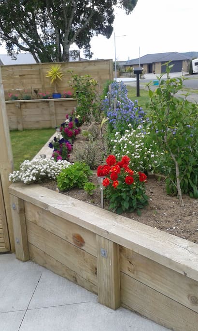 Road-side garden in bloom