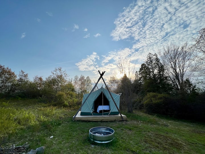 Camp on Birch Harbor Berry Field Tents for Rent in Gouldsboro, Maine