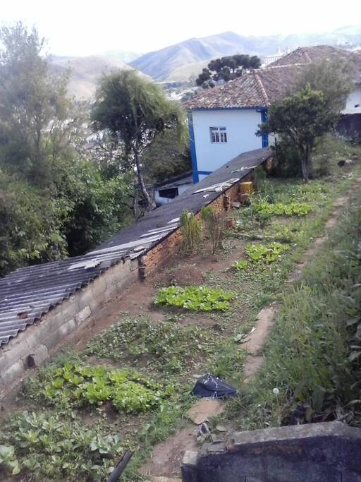 Horta
