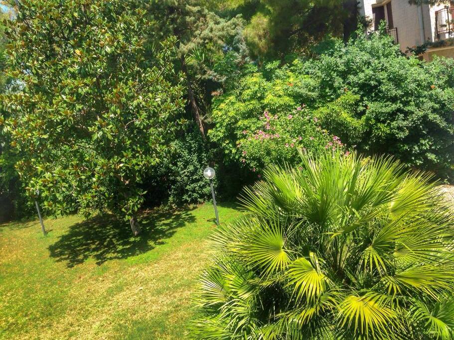 Giardino frontale