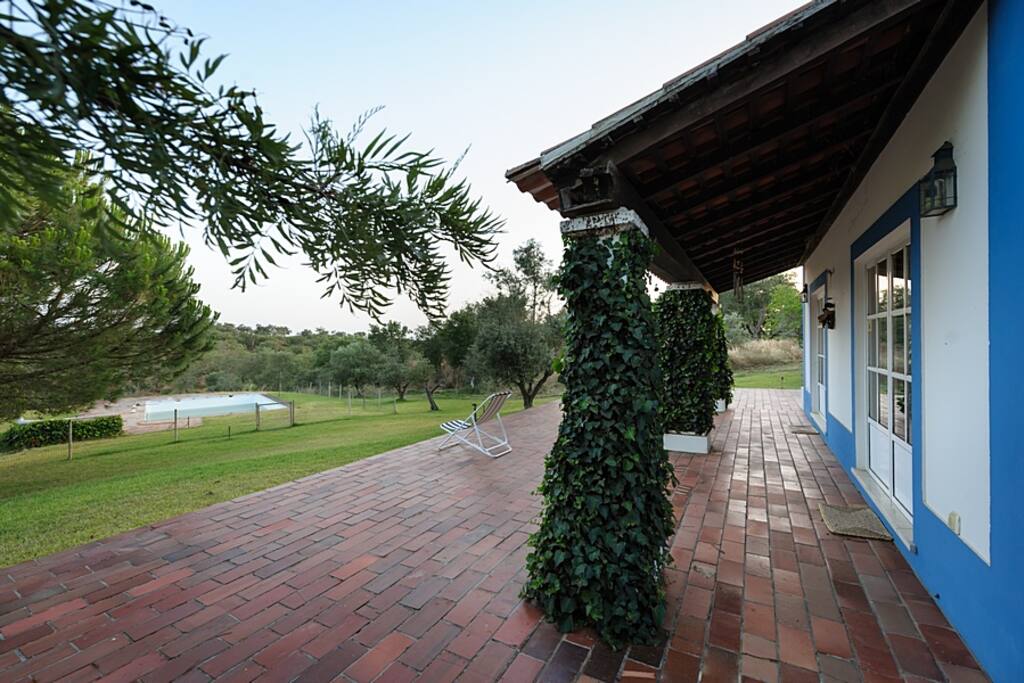 Swimming pool and front yard