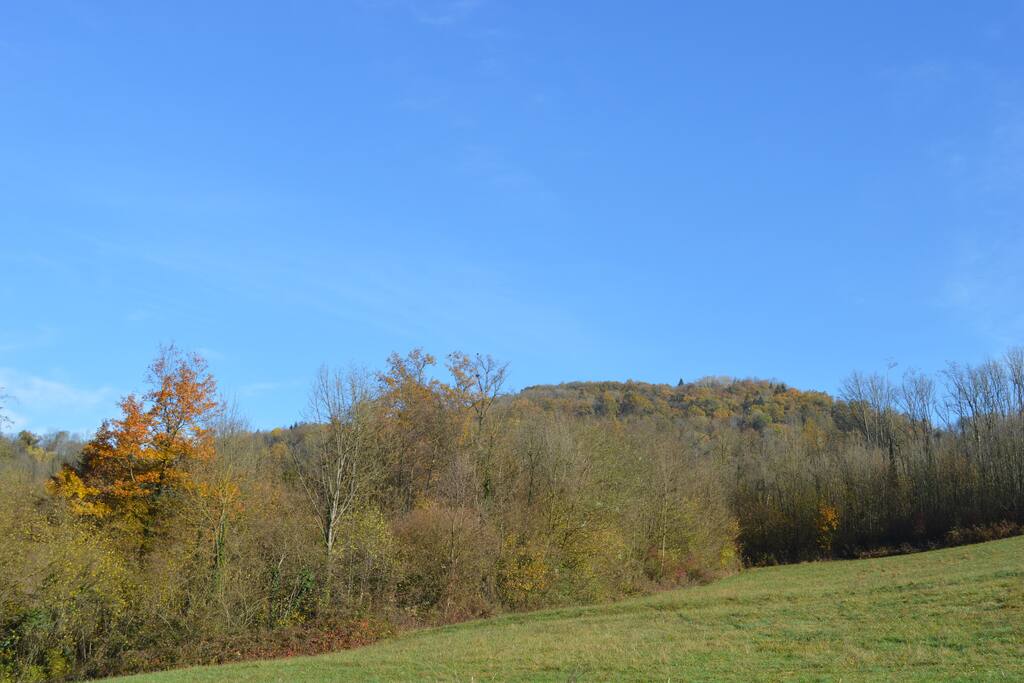 Vue de l'entrée
