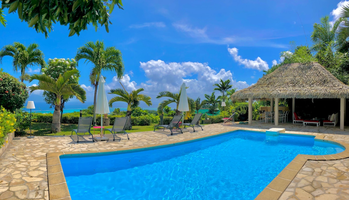A swimming pool is framed by lush greenery and tropical trees, with comfortable lounge chairs positioned around it. A thatched-roof gazebo provides shaded seating, and the clear blue sky enhances the serene atmosphere. The ocean is visible in the distance, complementing the vibrant landscape.