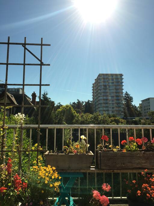 Upper deck at back of home ( shown in summer)