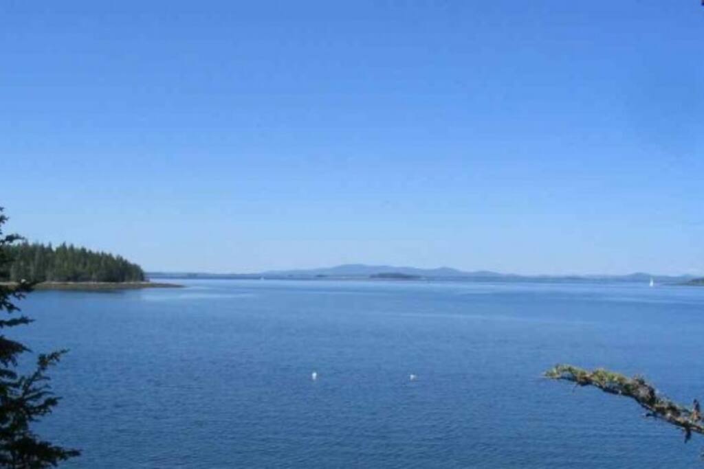 View from Master Bedroom