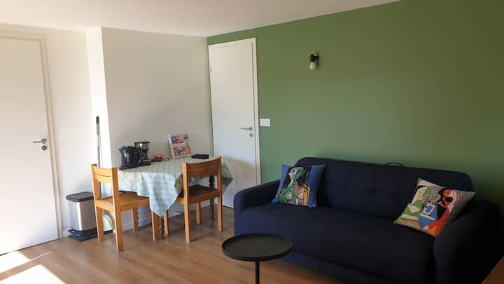 Studette Dans Maison Très Bien Située. - Sévrier