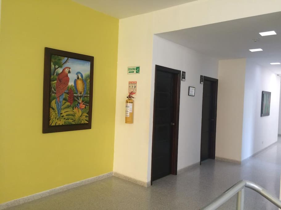 segundo piso