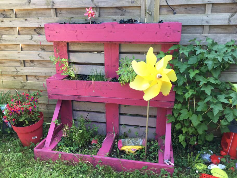 plantes aromatiques