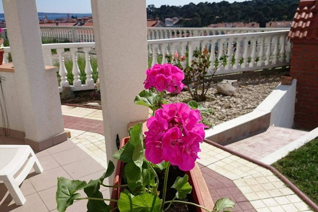 Loggia and garden