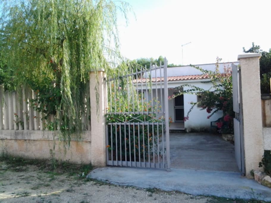Ingresso
