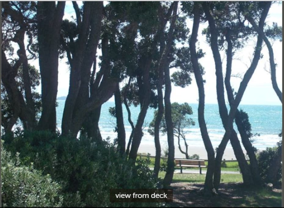 View from lounge and deck