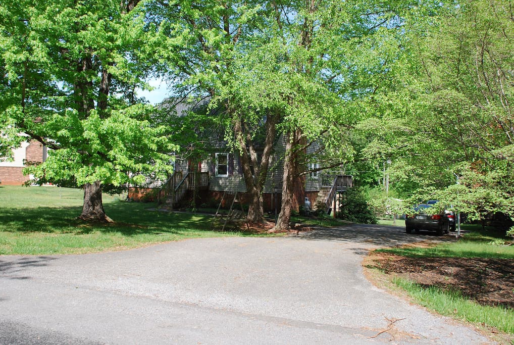 Front yard and driveway
