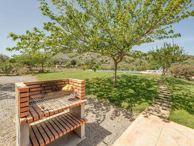 Mamici gallery image 5