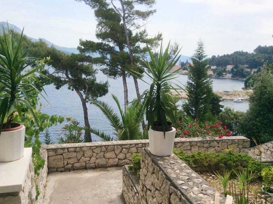 Garden and view