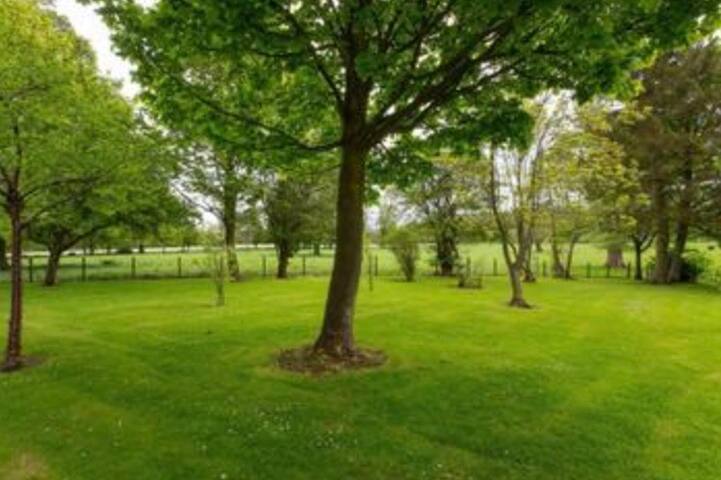 Luxury Edinburgh Period Property gallery image 5