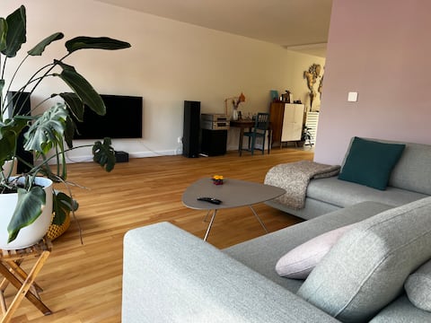 Successful Airbnb property: Lovely house with sauna incl. free parking in Zandvoort