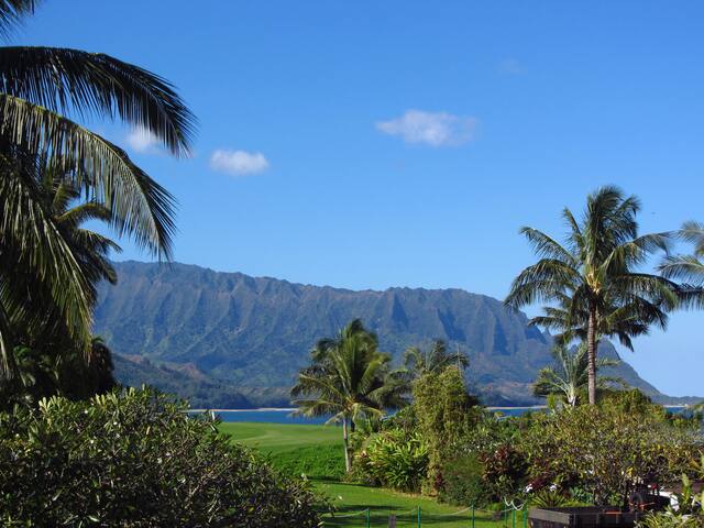 5 Bedroom House with Ocean Views on 3 Sides gallery image 5