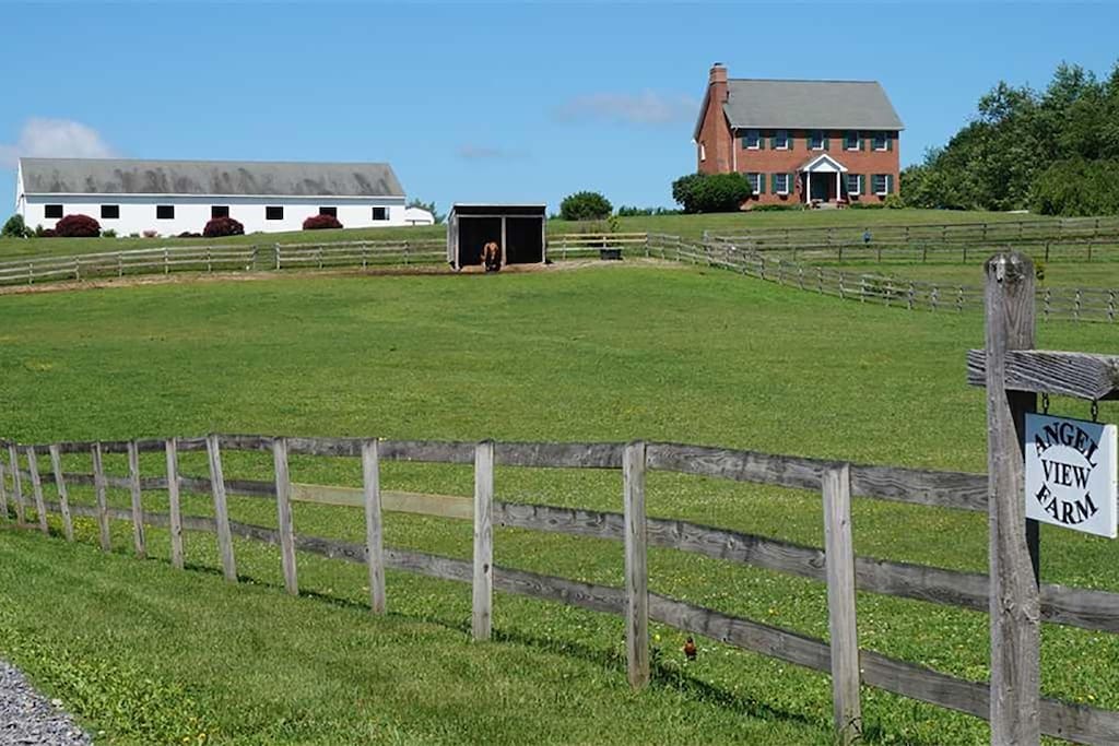 Our house, stable, and front pasture from the main road.