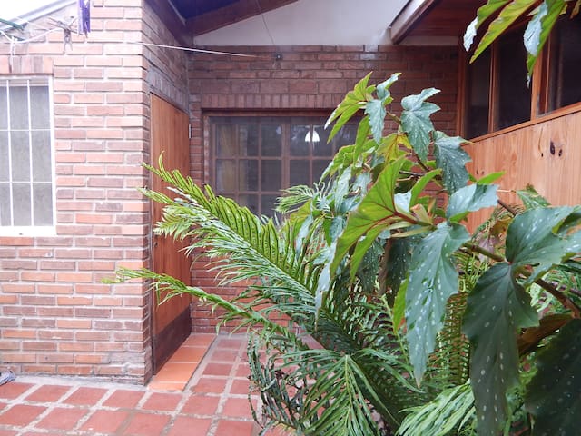 Tropical Green Corner