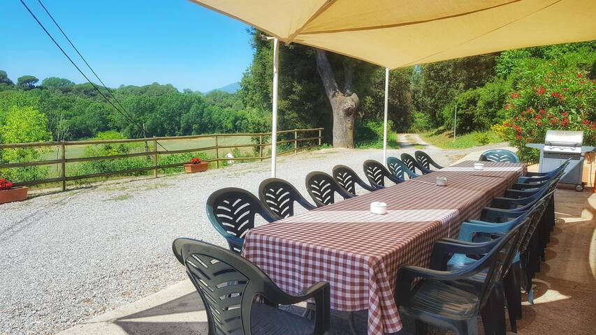 Rural house in the Empordà, surrounded by nature gallery image 2