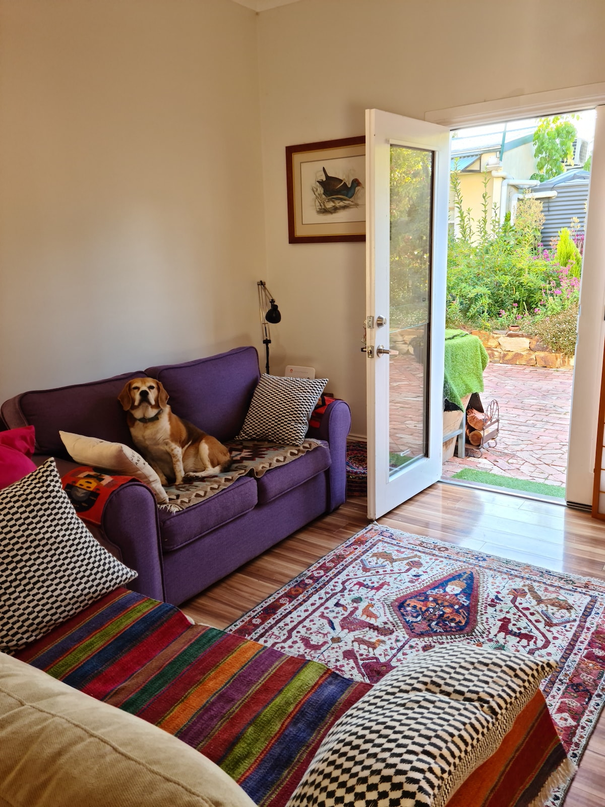 Salón con wifi, TV, sofá cama y se admiten mascotas.  Las puertas dobles francesas se abren hacia un patio pavimentado. 