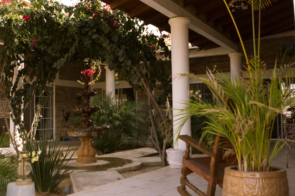 Patio Interno