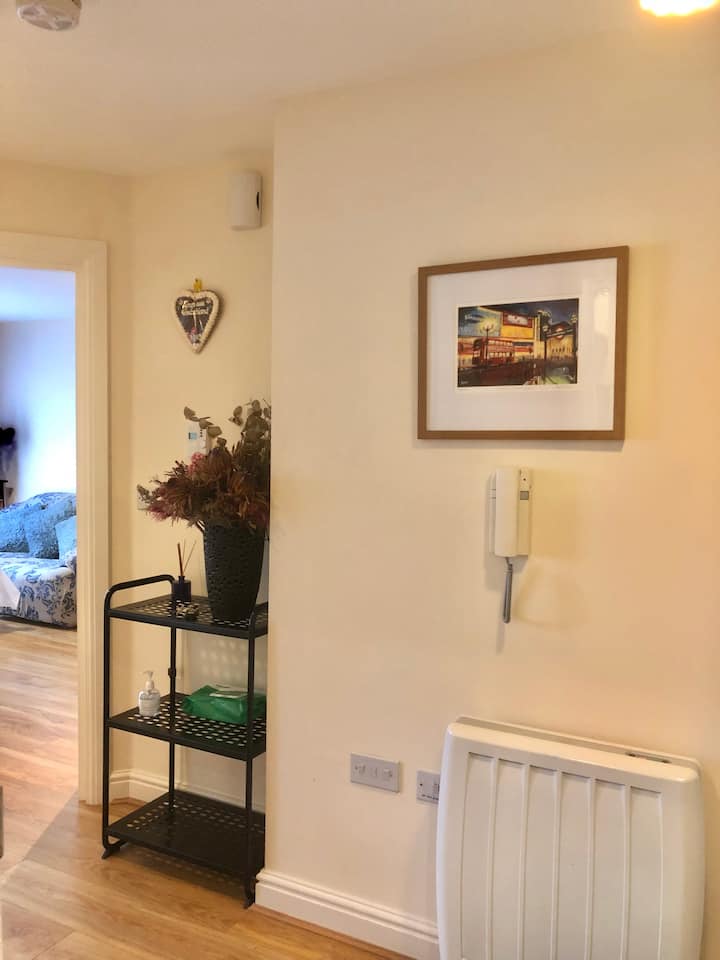 Entire Modern One Bedroom Flat In Oxford, 1.5m Bed - Oxford