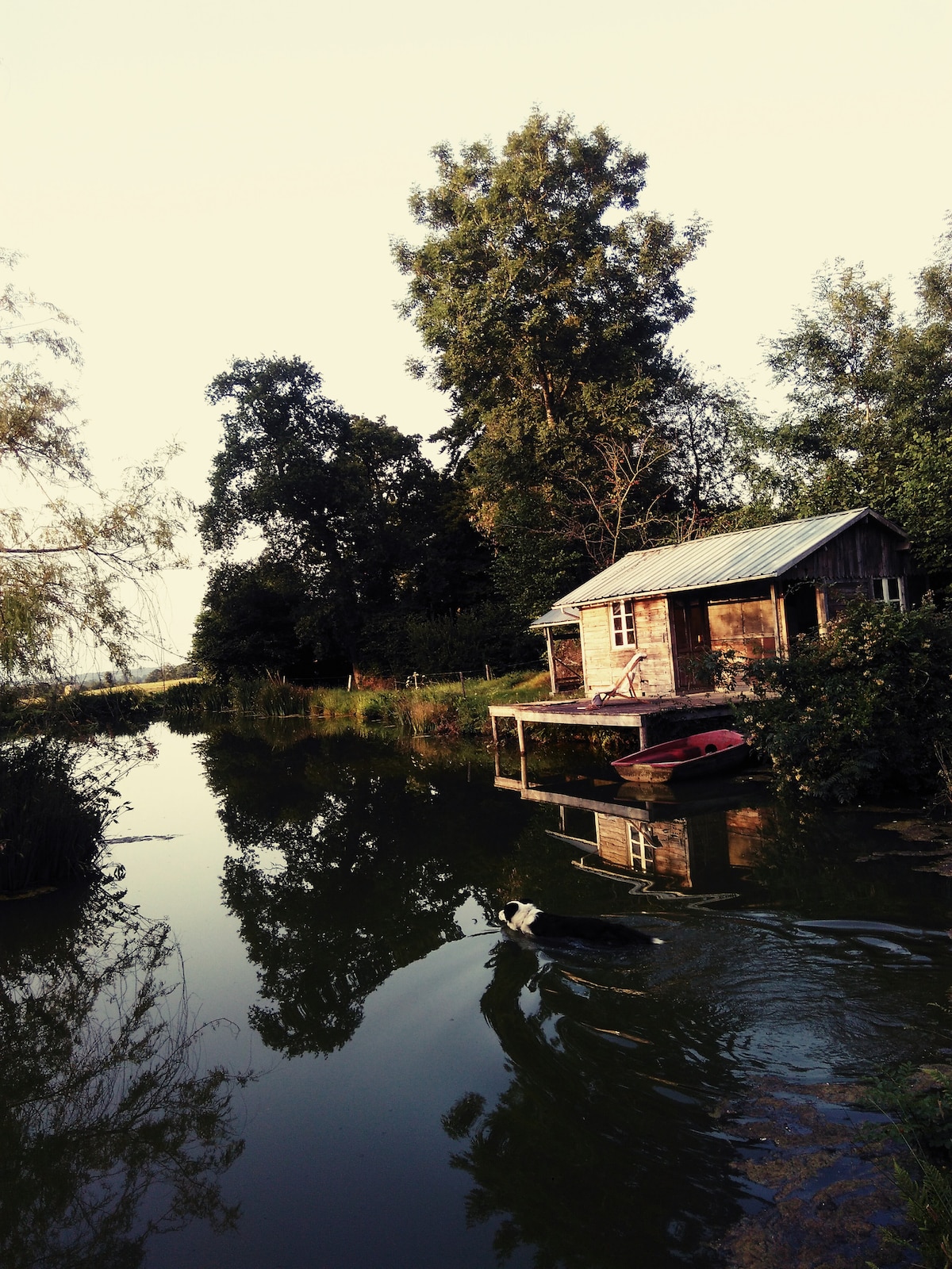 A rustic wooden cabin is situated by a calm, reflective waterway, surrounded by trees and greenery. A small dock extends from the cabin, showcasing a boat resting alongside. The peaceful natural setting invites moments of serenity and contemplation.