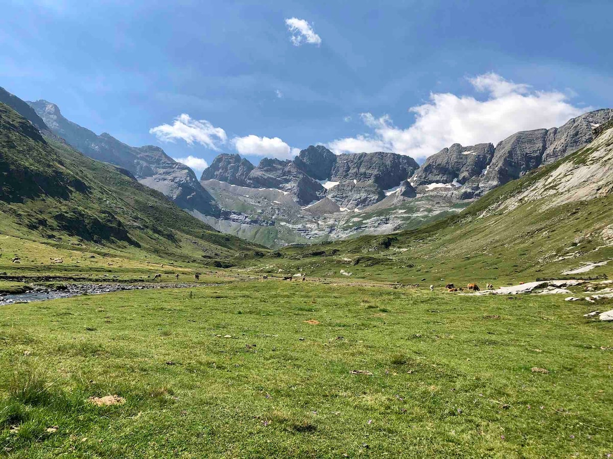 A wide view of a lush green valley is captured, bordered by rugged mountains under a bright blue sky. Gentle slopes descend towards a flowing stream, with scattered patches of white rock and grazing livestock visible, creating a serene and natural landscape.