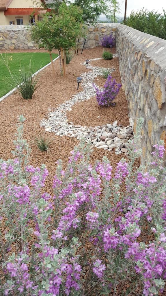 A landscaped yard features a winding pathway of smooth stones bordered by purple flowering plants. The soft texture of the gravel complements the natural elements, while a low stone wall provides a rustic backdrop against the vibrant greenery and flowers.