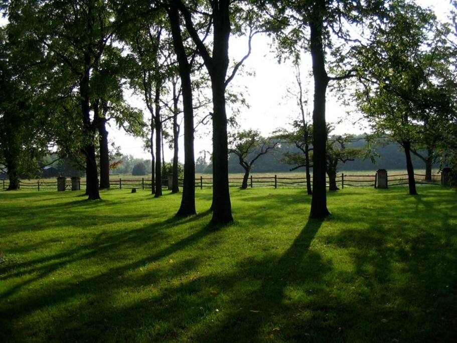 the view from the front porch.