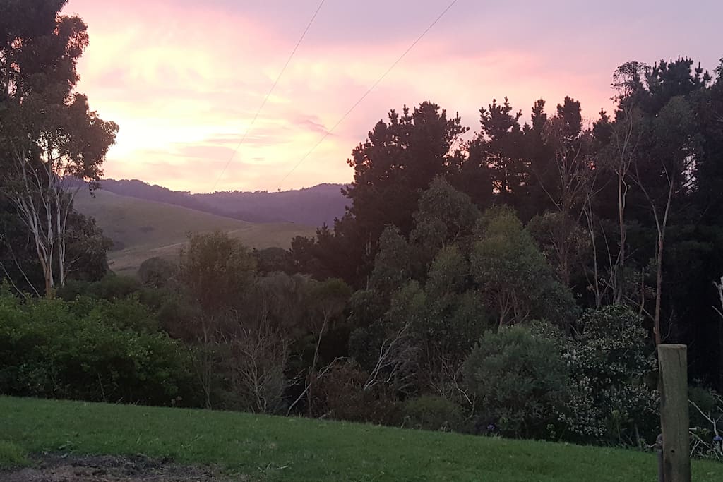 View from the backyard