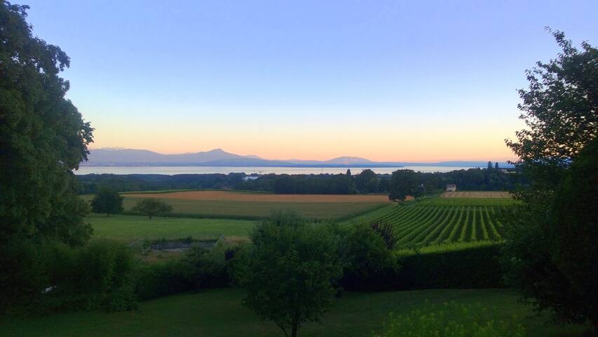 Le Château gallery image 3