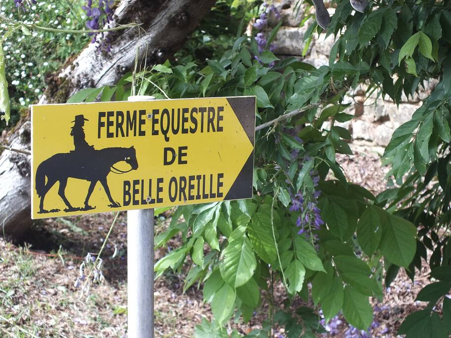De nombreuses activités de plein air sont à découvrir