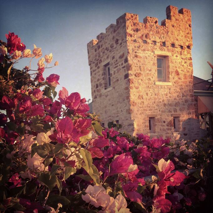 The Tower