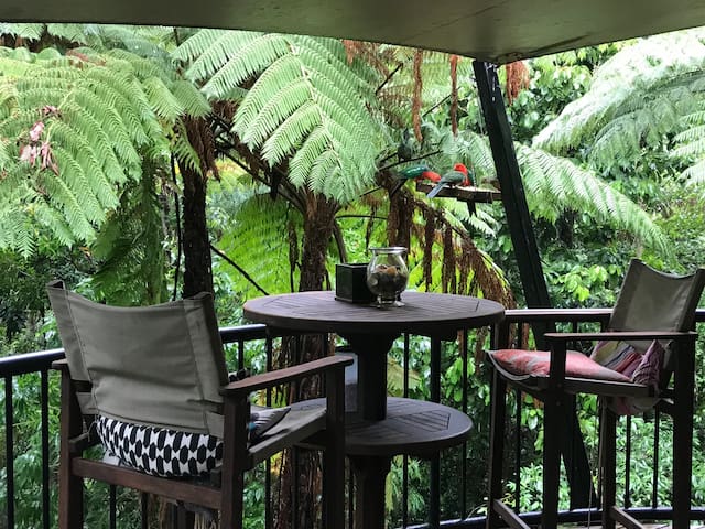 Bamboo View Whipbird Treehouse Homestay Q Room