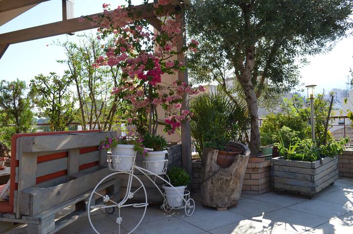 Apartment with Roof Garden