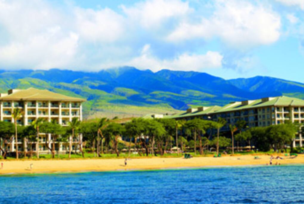Beach Front Hotel