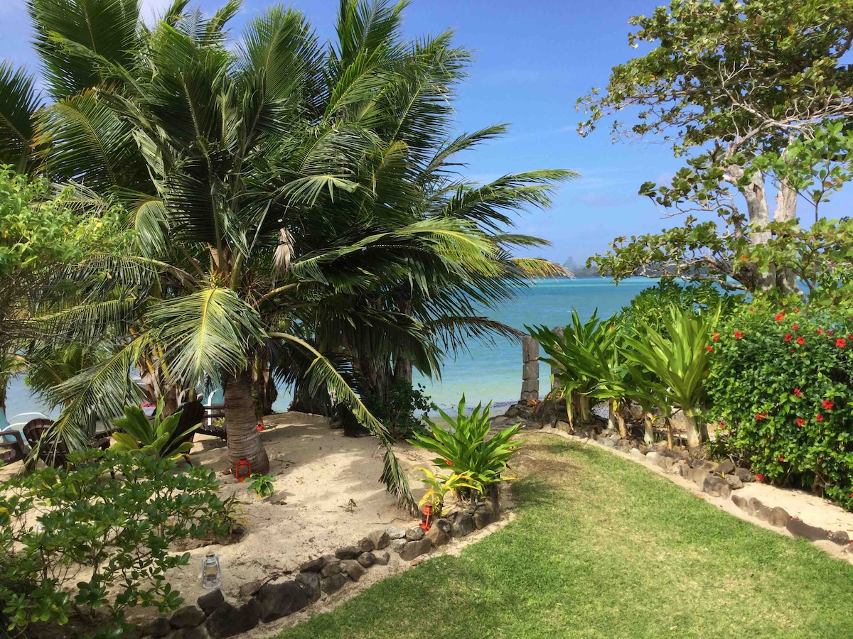 The image captures a tranquil coastal garden featuring vibrant greenery and tropical palm trees. A sandy area leads to a calm ocean in the background, where the water reflects various shades of blue. Flowering plants add color, enhancing the natural setting.
