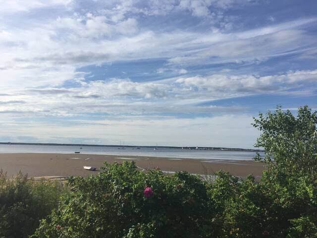 Shediac water front weekly rental gallery image 4