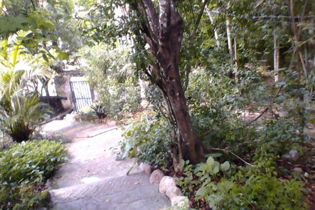 entrada da casa