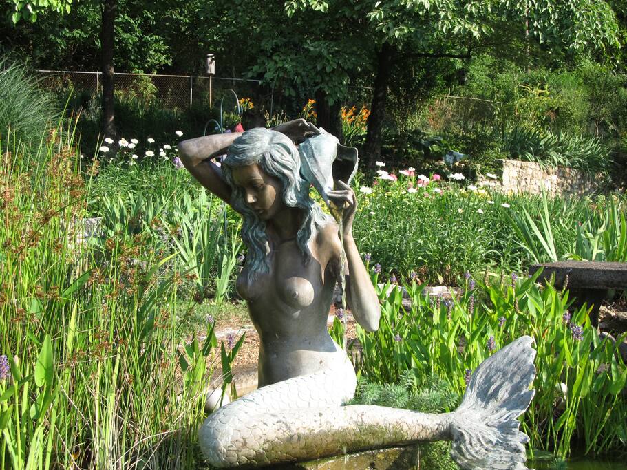 Garden Area