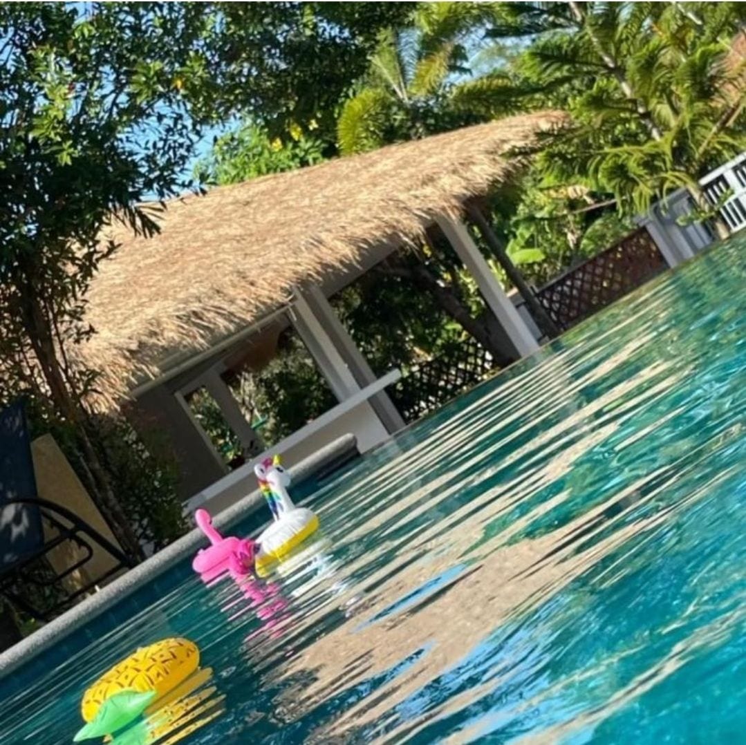 A swimming pool is featured, with clear blue water reflecting sunlight. Colorful inflatable floats in the shape of a flamingo and a pineapple are visible on the surface. A thatched-roof gazebo is situated nearby, surrounded by lush greenery.