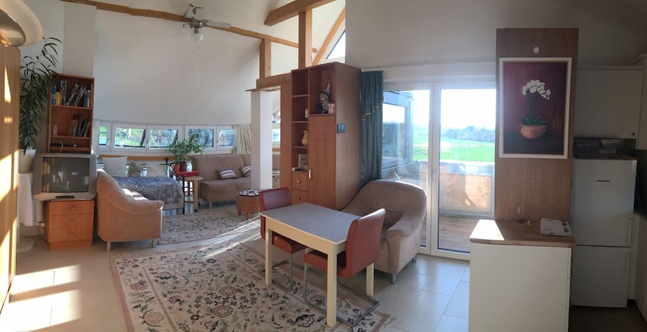 1-room panoramic apartment large to 3 persons