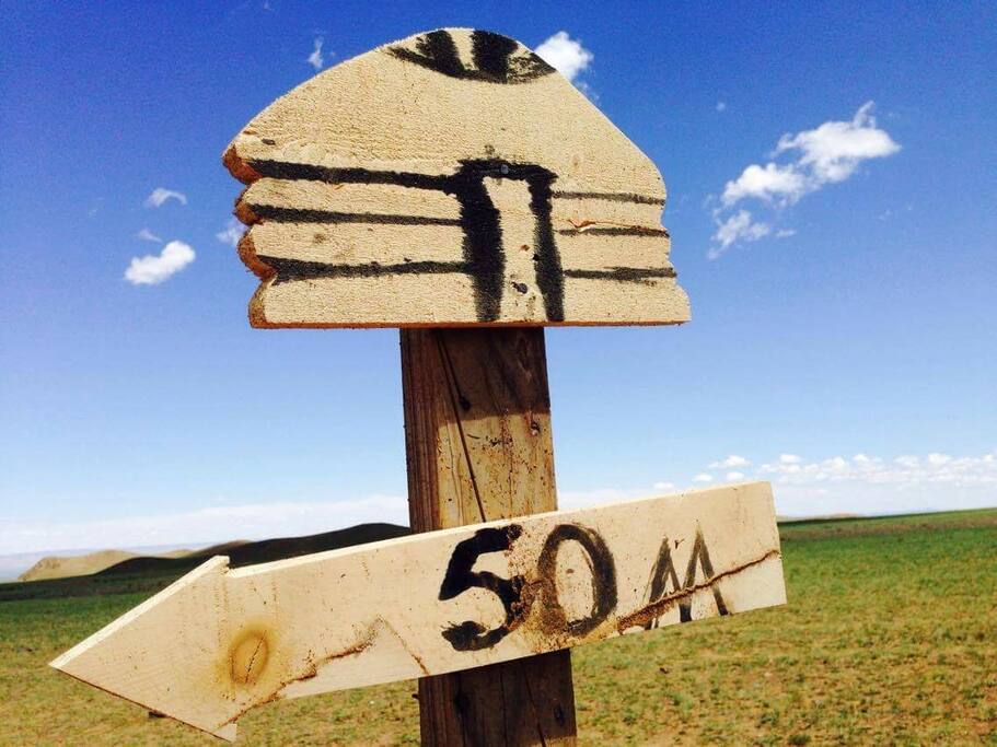 Road signs are very important