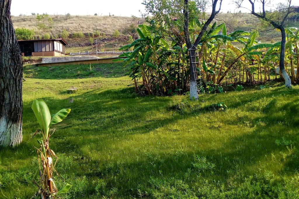 Áreas verdes ideales para relajarse