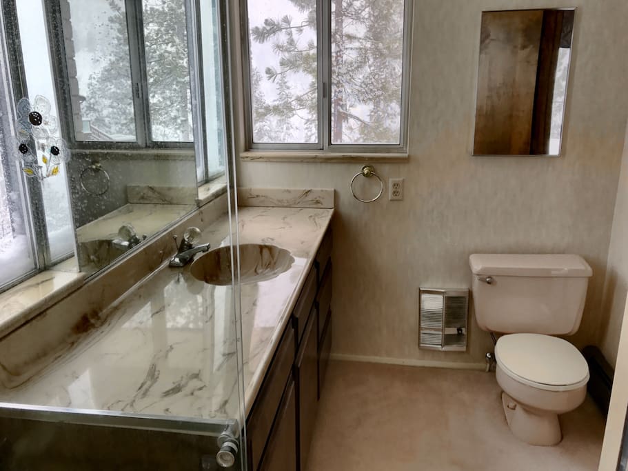 Dual bath with large walk-in shower.
