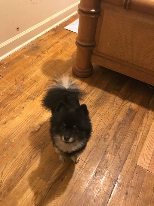 Biggie; The Fearless Guard.