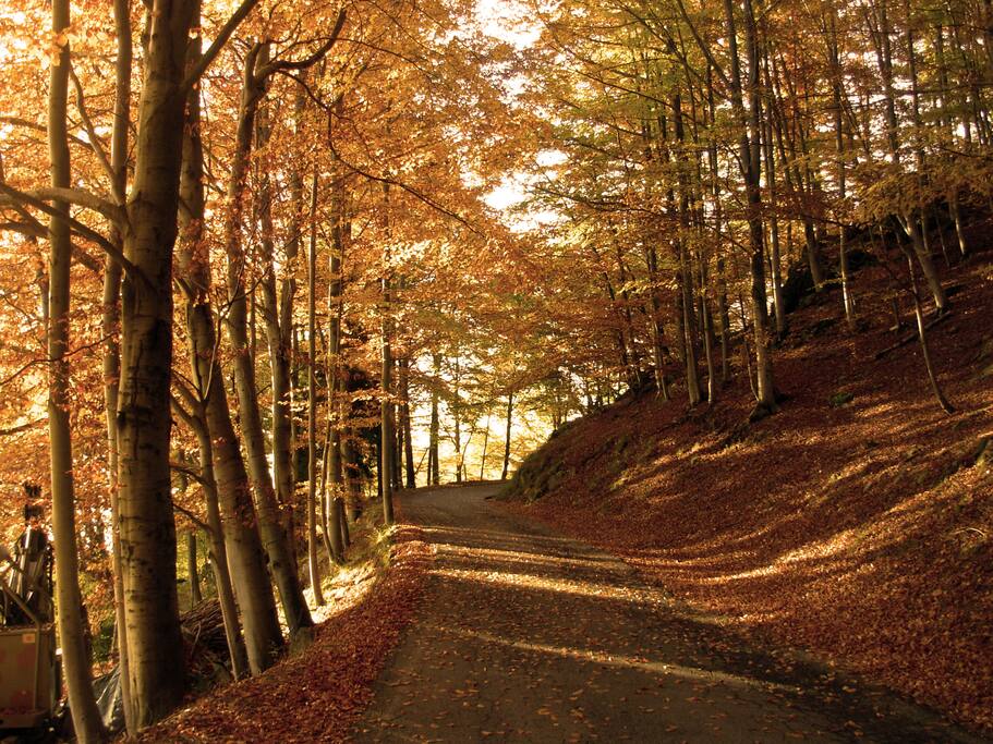 La nostra strada nel periodo autunnale